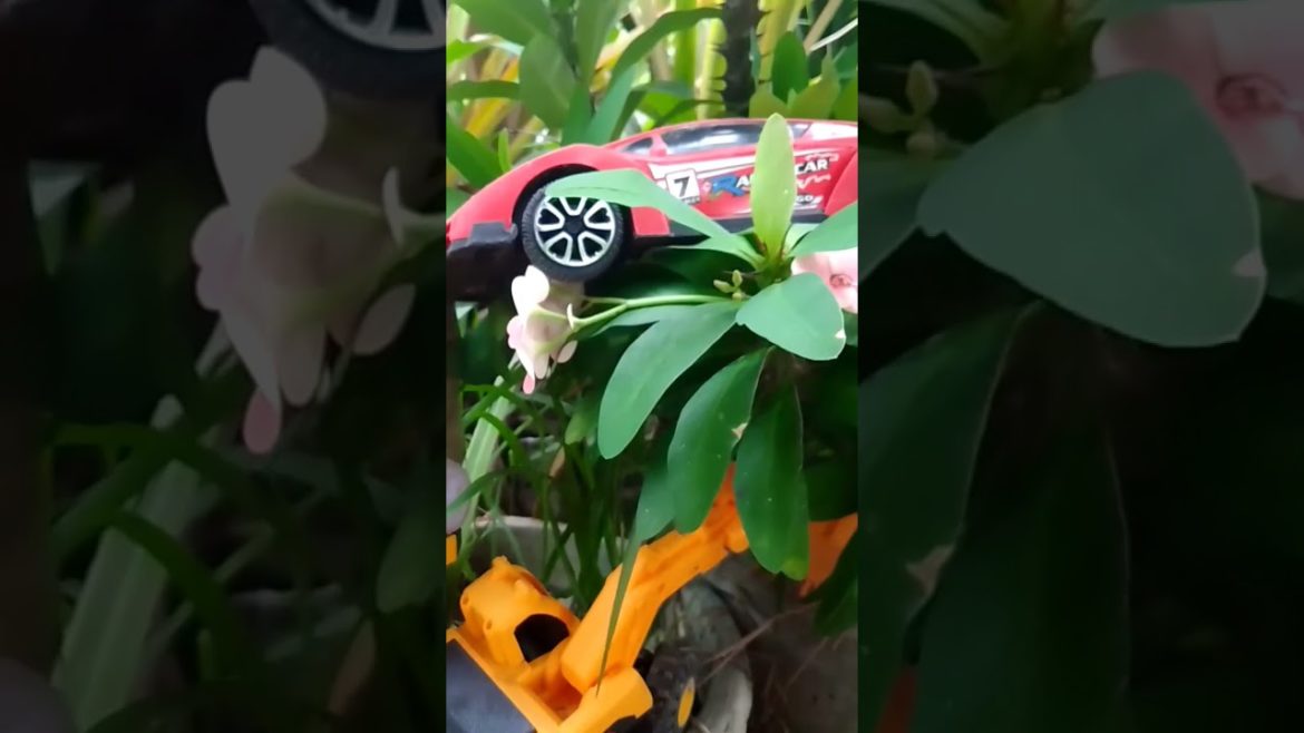 the car is fantastic