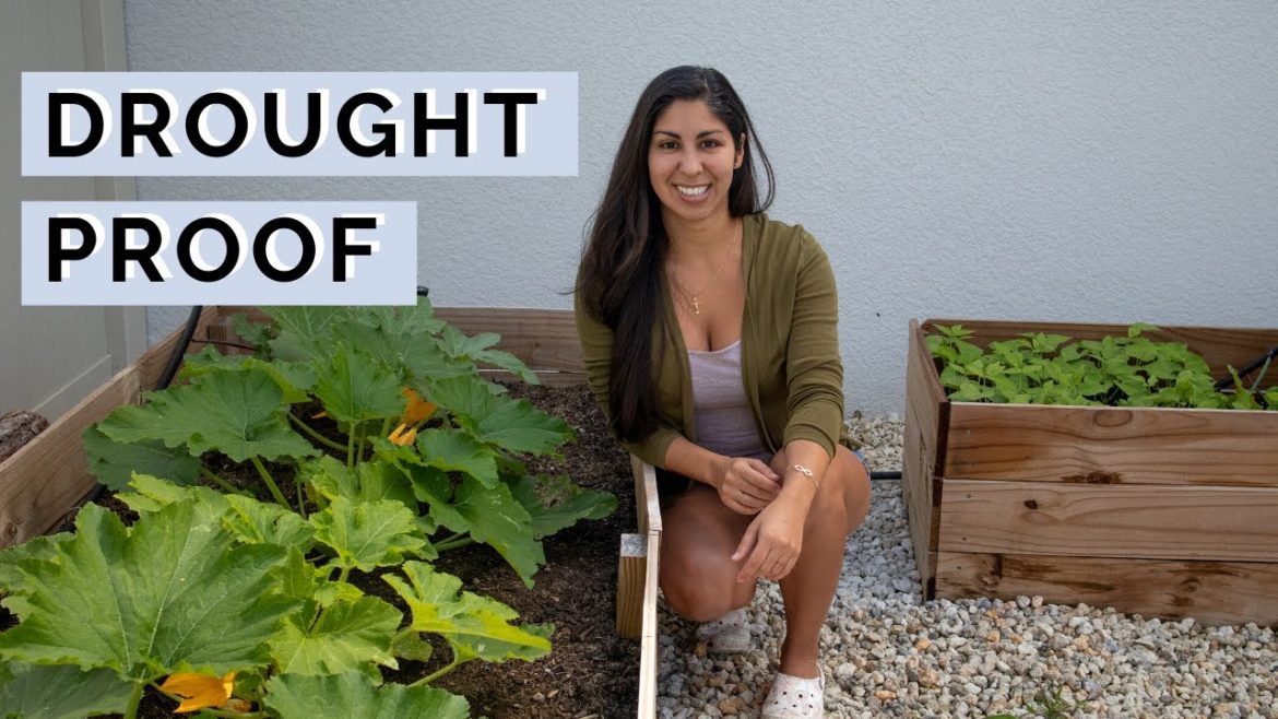 The BEST Drought Tolerant Vegetables | Drought Gardening Tips