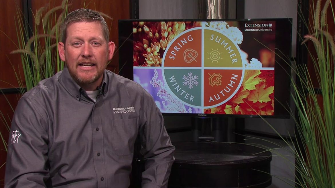 April Gardening Tips