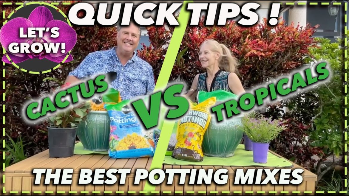 BEST POTTING SOILS FOR PLANTS BEST POTTING SOILS FOR PLANTS