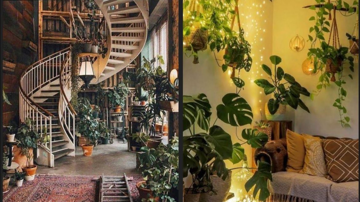 Modern Indoor Plants Decoration Ideas 2022 | Indoor Garden Decor | Indoor Gardening Ideas
