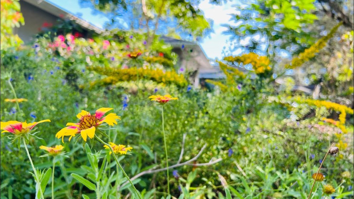 Florida Fall Garden Tour: The Perfect Time to Get in the Fall Spirit!