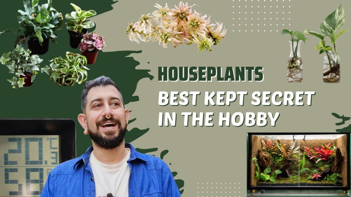 Houseplant Money Saving Tips | Get supplies for cheap | Plants, Substrates and Gadgets