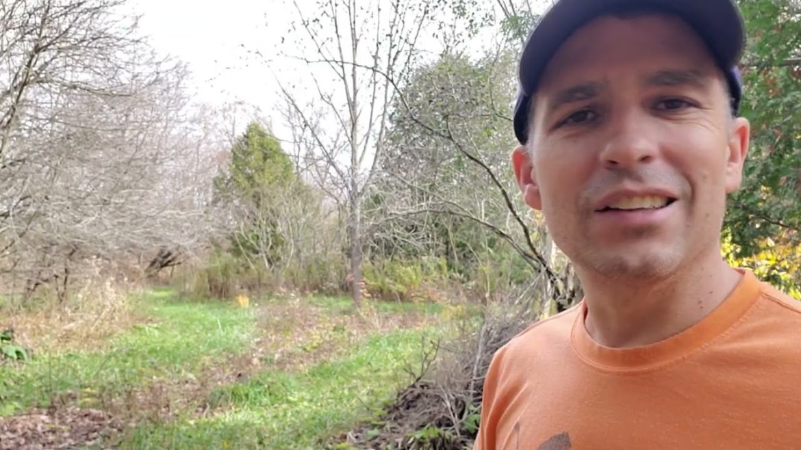 What to do with a Woodchip garden in the fall