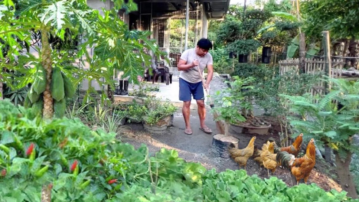 ADOBO AT TINOLANG MANOK!!! LUTONG PROBINSYA!!! Filipino Food. Mukbang. Gardening. Gulayan.