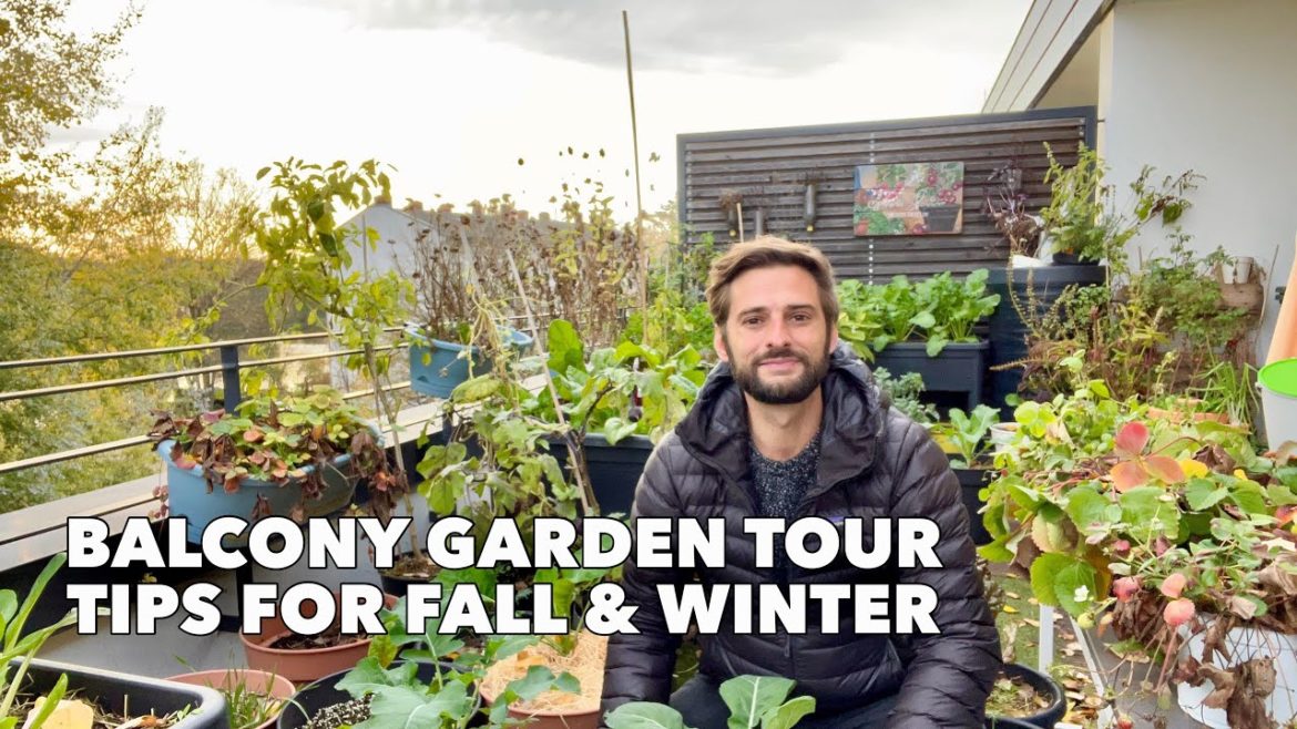 Autumn Balcony Garden Tour - Tips on varieties, mulching & how to protect plants from frost