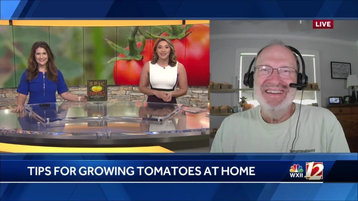 Gardening Tips With the NC Tomato Man Gardening Tips With the NC Tomato Man