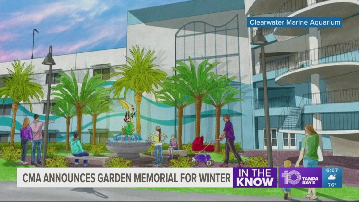 CMA announces memorial garden on 1-year anniversary of beloved dolphin's passing CMA announces memorial garden on 1-year anniversary of beloved dolphin's passing