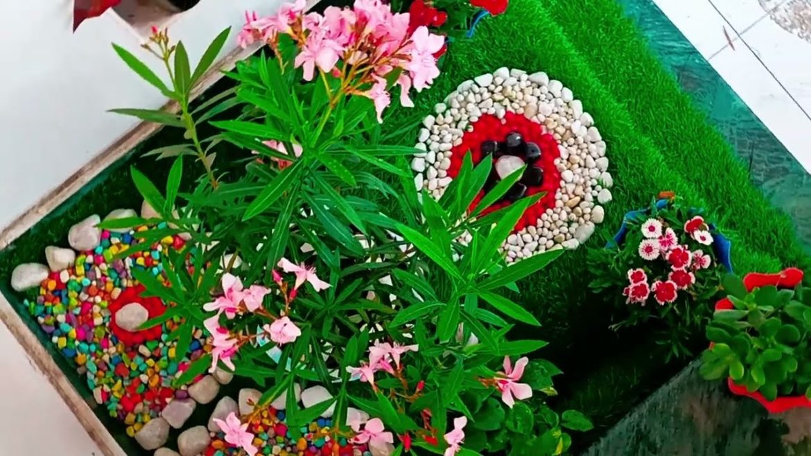 ओलियंडर प्लांट केयर एंड फैक्ट्स | Oleander Plant Care & Garden Tips | ओलियंडर प्लांट केयर एंड फैक्ट्स | Oleander Plant Care & Garden Tips |