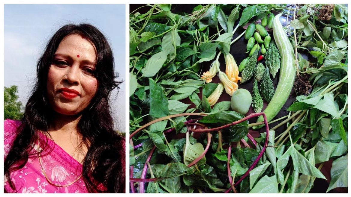 Today's Harvesting Organic Vegetables In My Backyard Garden Today's Harvesting Organic Vegetables In My Backyard Garden