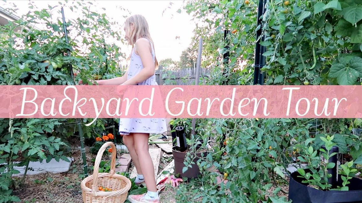 Vegetable Garden Tour | What I'm Growing in my Backyard in the City | Fall 2022 Vegetable Garden Tour | What I'm Growing in my Backyard in the City | Fall 2022