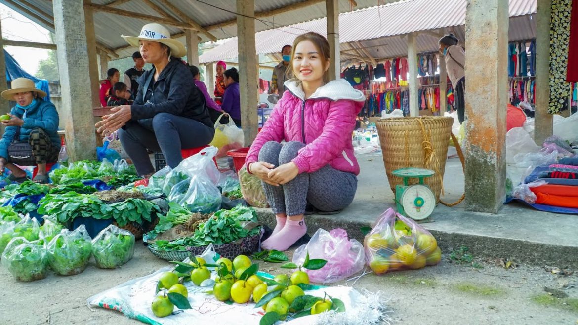 Harvest Oranges to sell at Central Market , Land Reclamation Gardening Care for Farm Animals