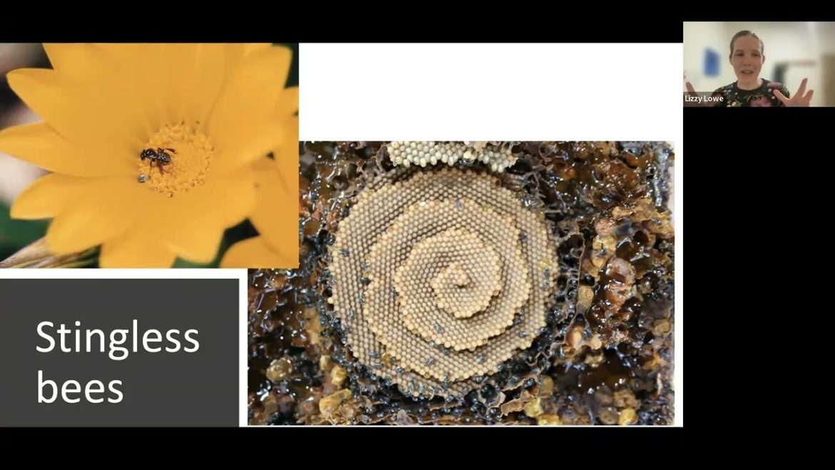 Pollinator webinar Pollinator webinar