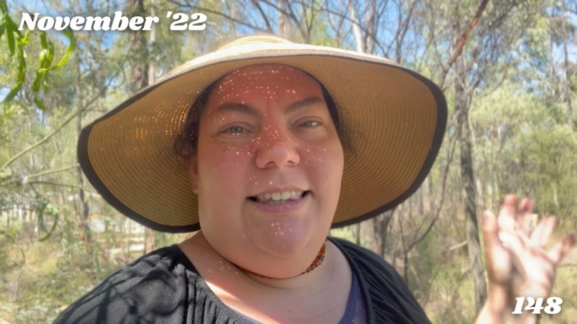 Weekly Homestead and Garden tour update and chat | Week 1 November 22 | Off Grid Australia 148 Weekly Homestead and Garden tour update and chat | Week 1 November 22 | Off Grid Australia 148