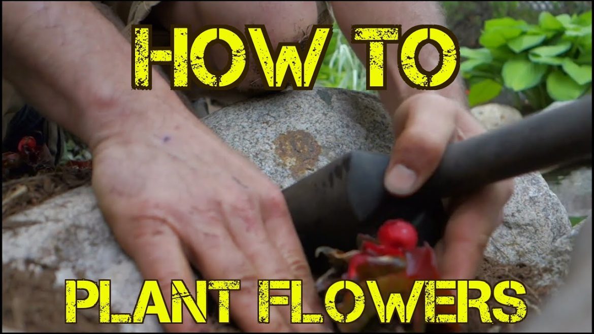 How to Plant FLOWERS the Easy Way – Landscaping and Gardening Tips How to Plant FLOWERS the Easy Way - Landscaping and Gardening Tips