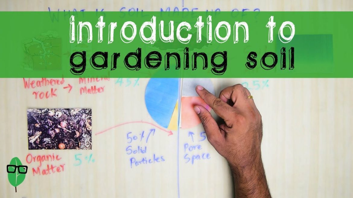 Introduction to Gardening Soils | Gardening Basics | #SoilStories