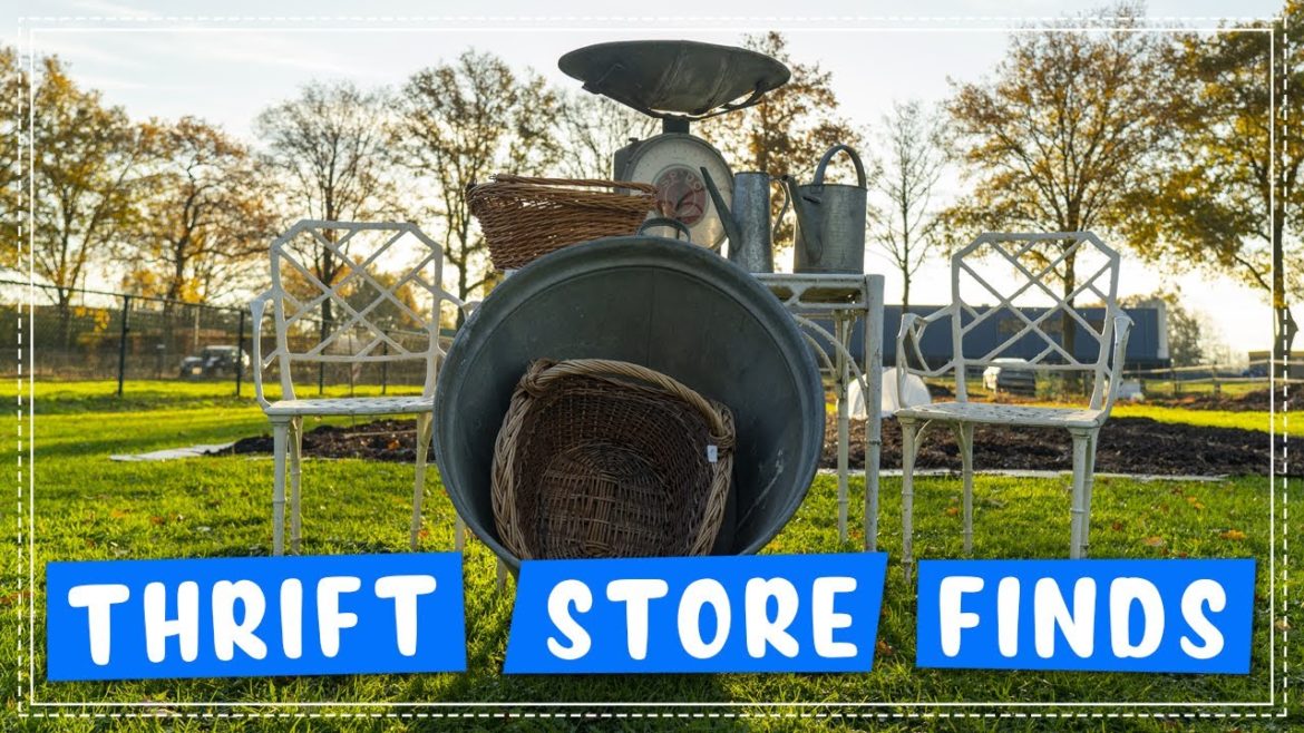 Garden Supplies Thrift Store Shopping + Garden Tour! Garden Supplies Thrift Store Shopping + Garden Tour!