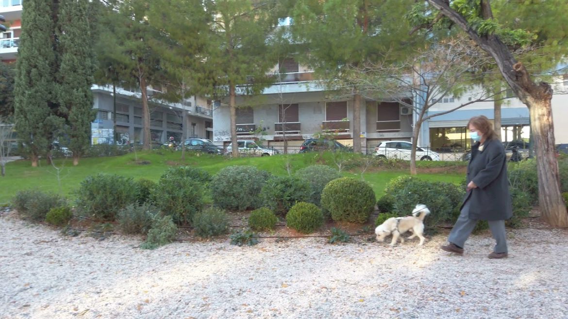 Japanese Garden walk in Pangrati, Athens, Greece