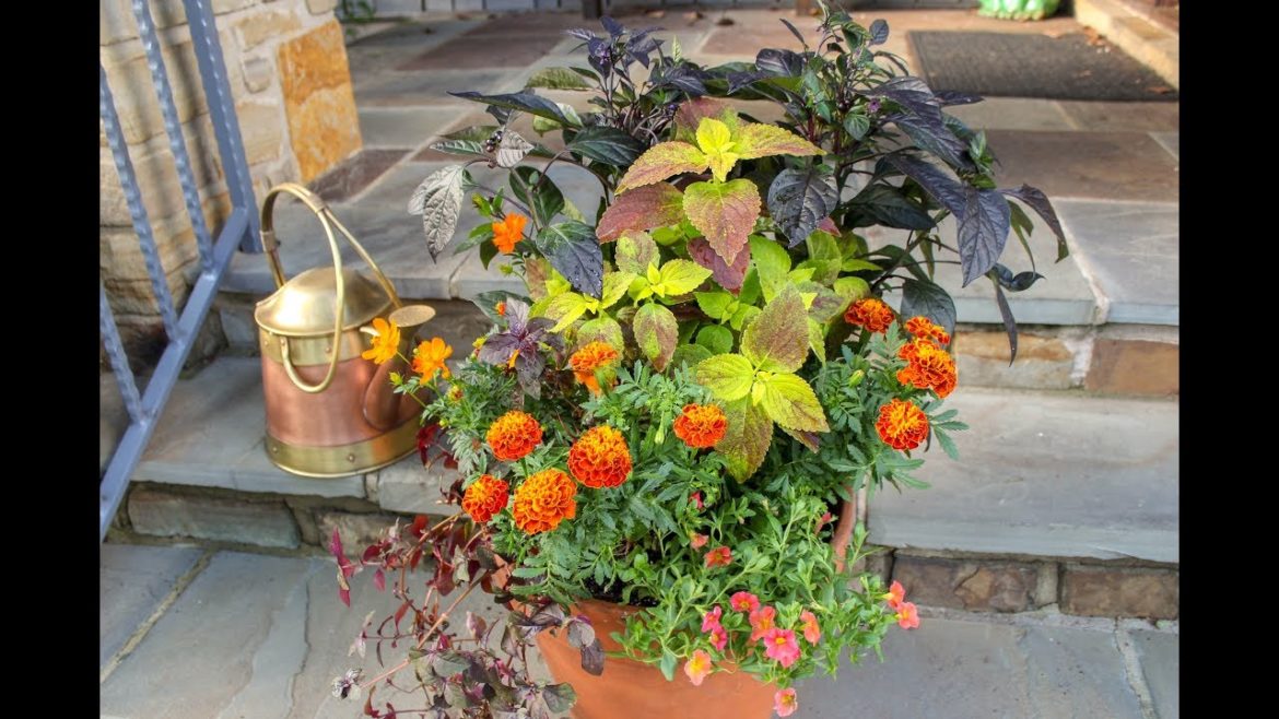 Fall Container Garden