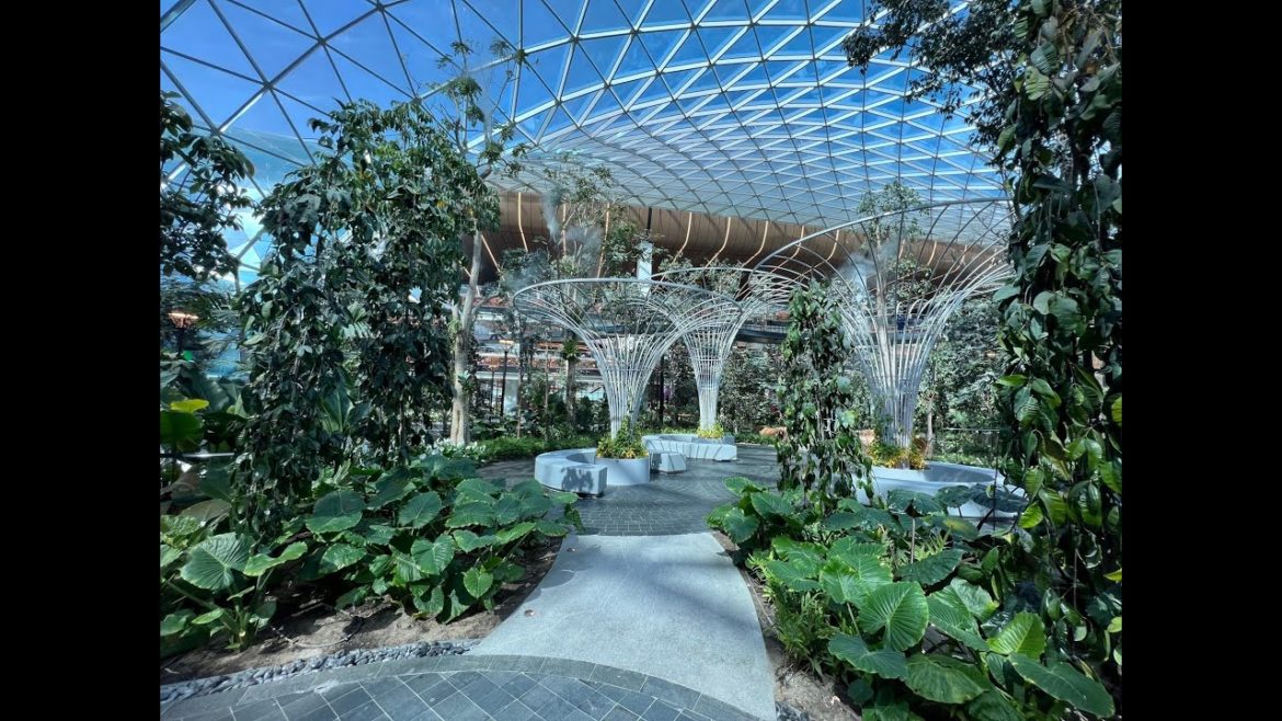 Entering Hamad International Airport’s garden of delight Entering Hamad International Airport’s garden of delight