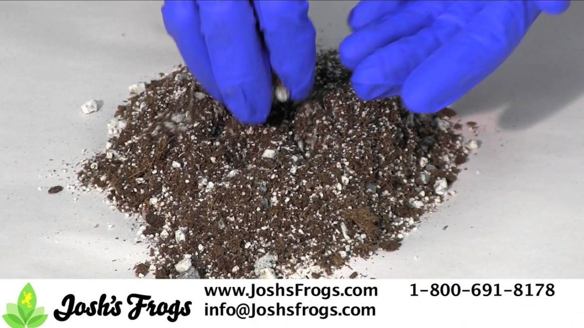 Josh's Frogs Terrarium Supplies for Container and Fairy Gardens
