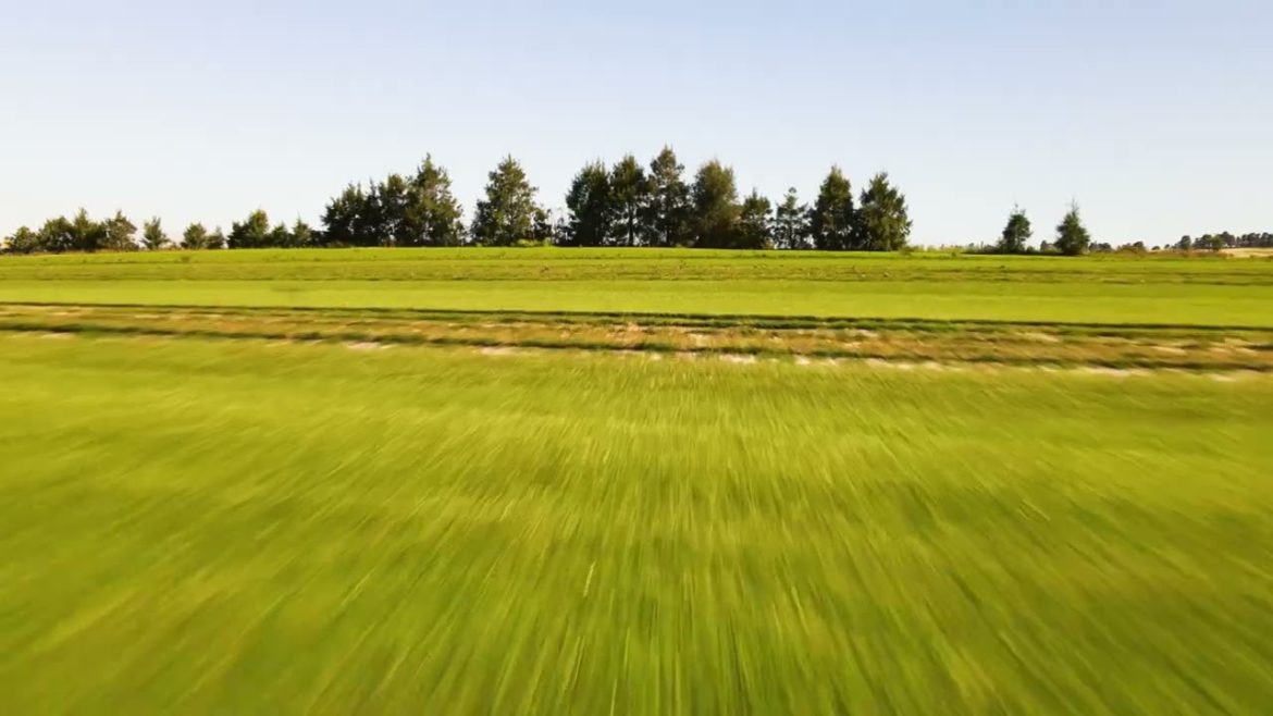 Greener Garden Supplies | Turf Farm Drone Video | Gin Gin, Western Australia