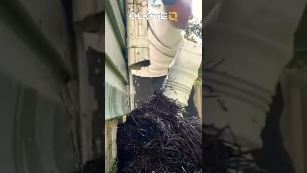 Do Gutter Guards Work?