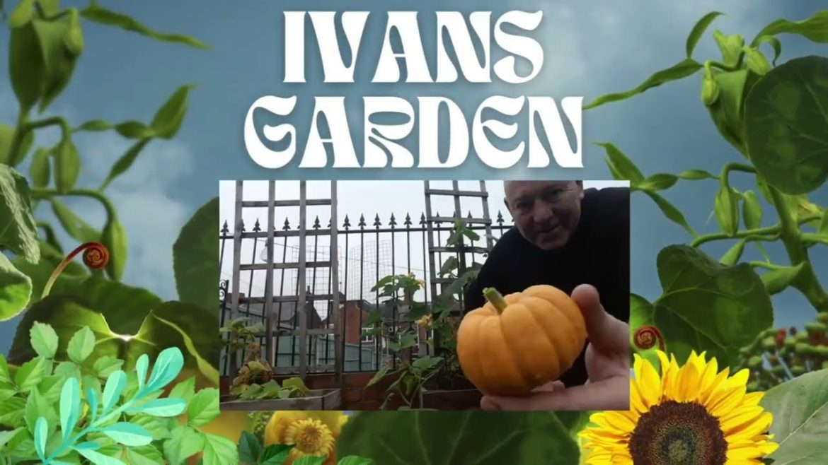 Gardening Allotment UK [Grow Vegetables At Home ]