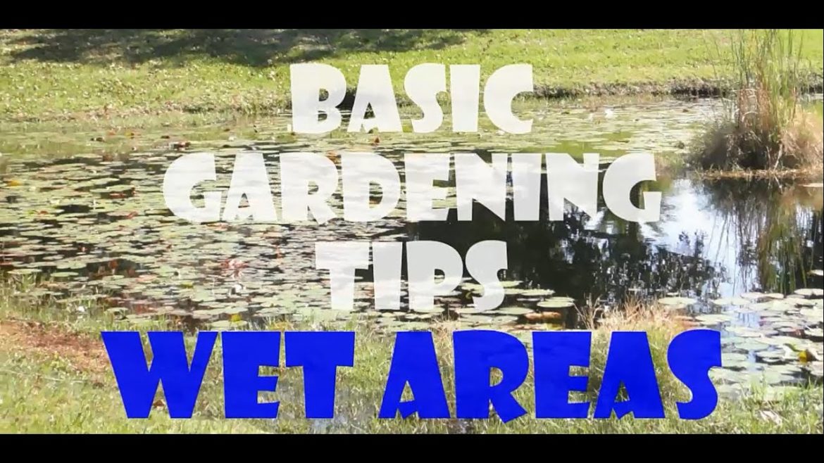 BASIC GARDENING TIPS - WET AREAS
