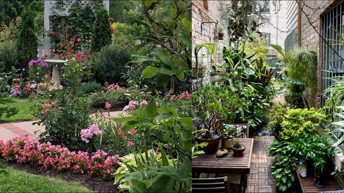 Top100 Front Yard Garden Landscaping Ideas 2022 Home Backyard Patio Design | House Exterior Design Top100 Front Yard Garden Landscaping Ideas 2022 Home Backyard Patio Design | House Exterior Design