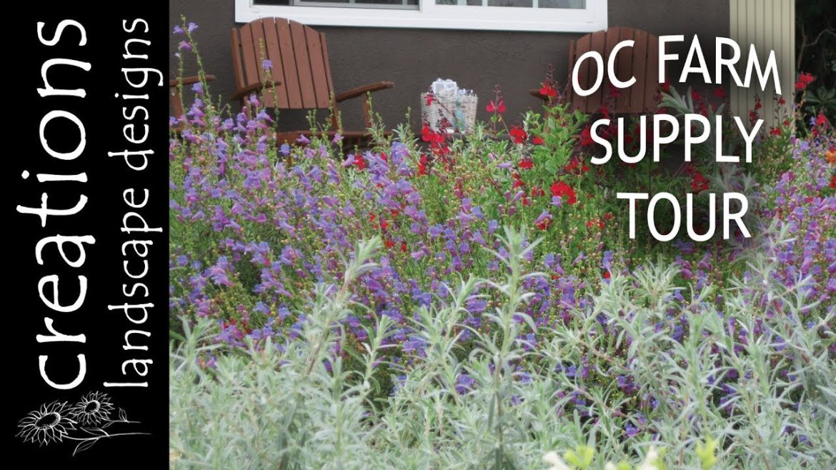 Orange County Farm Supply Sells Sustainable Garden Products