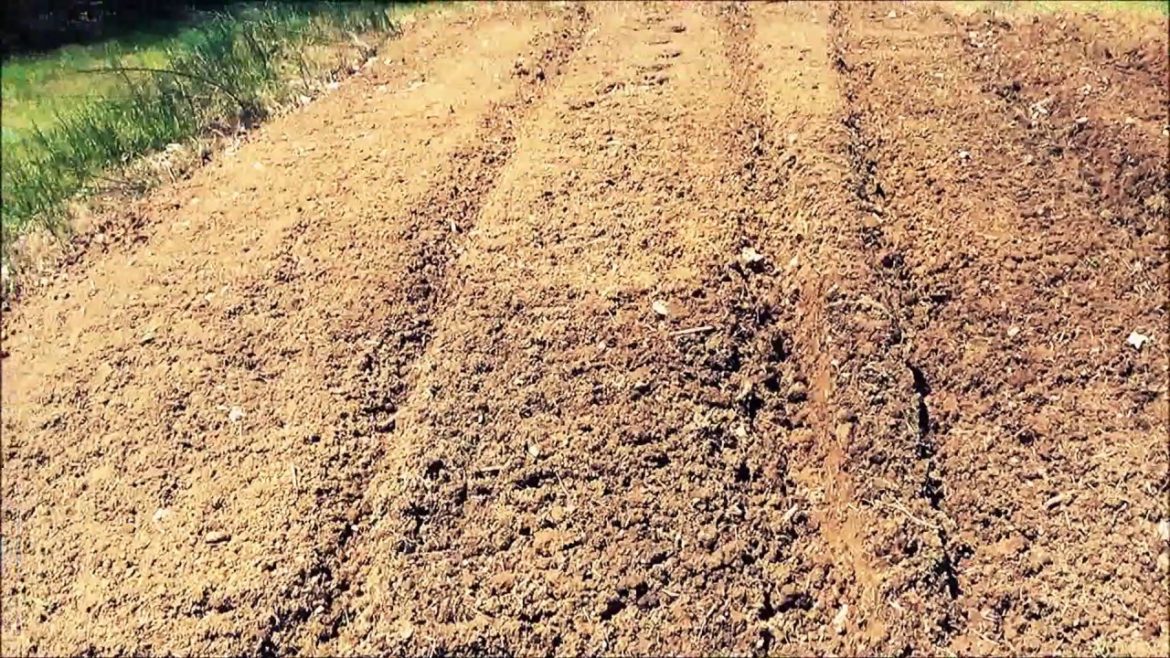 County Line rotary garden tiller from Tractor Supply