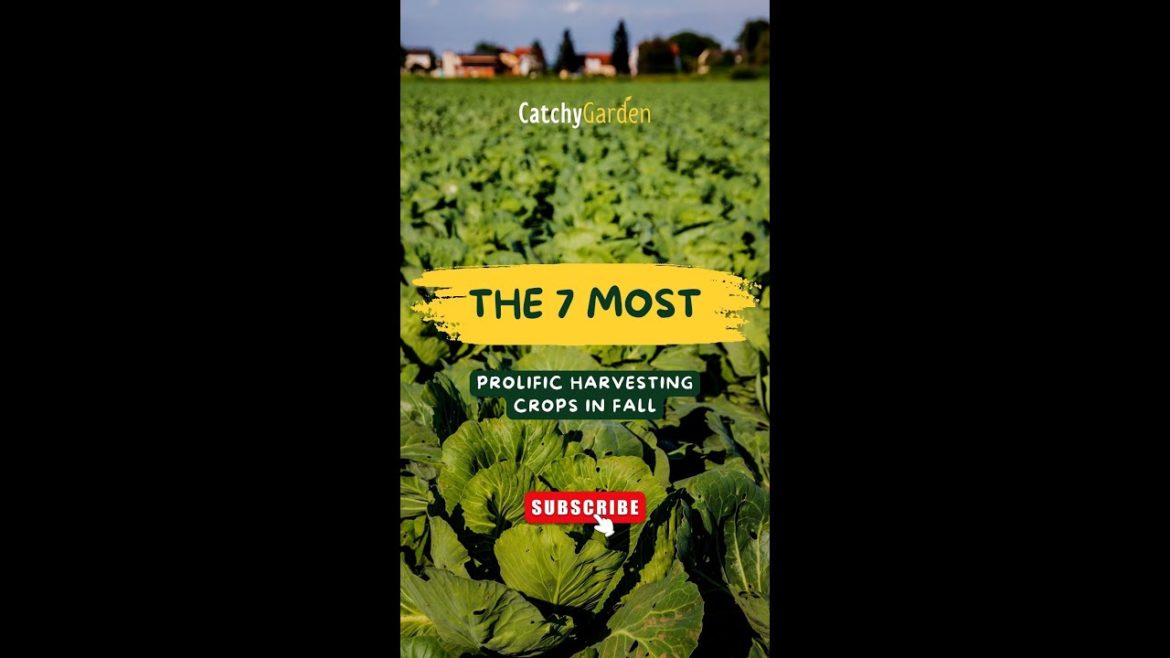 The 7 Most Prolific Harvesting Crops in Fall 🥬️🥕🥦 // #short #shorts The 7 Most Prolific Harvesting Crops in Fall 🥬️🥕🥦 // #short #shorts