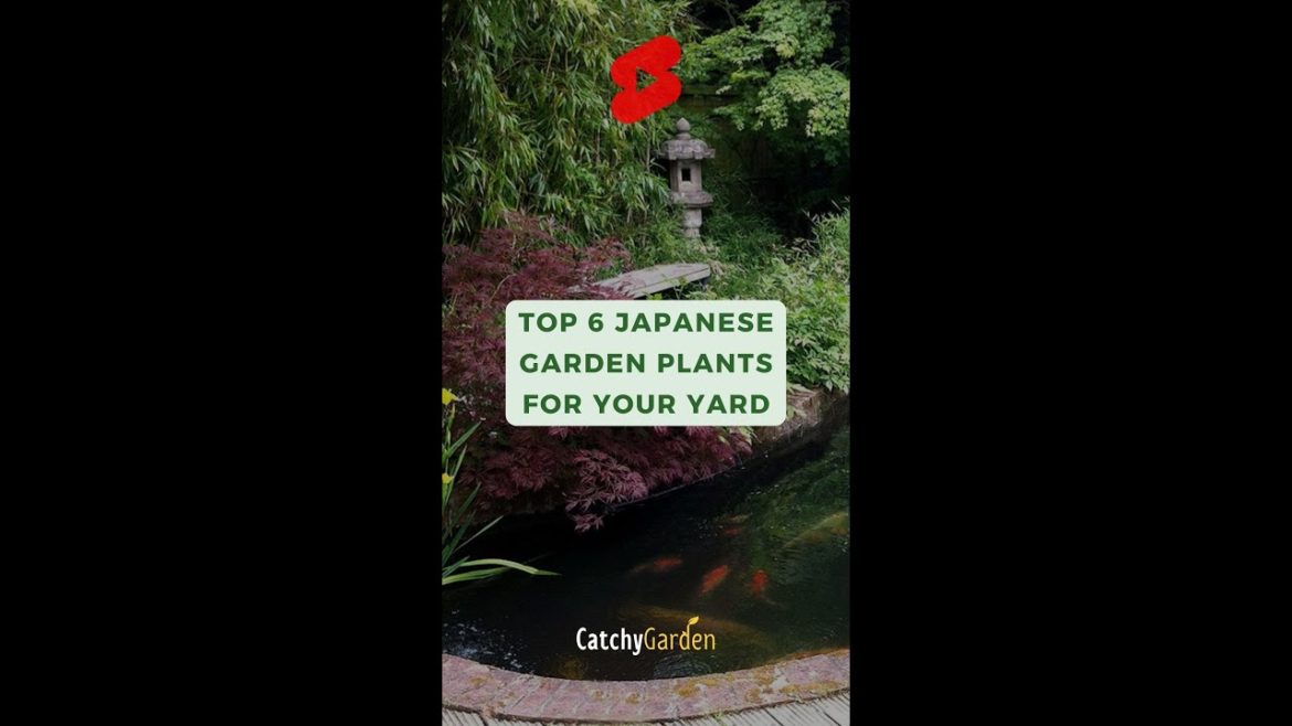 Top 6 Japanese Garden Plants for Your Yard 🌹🍃🍁 #short #shorts