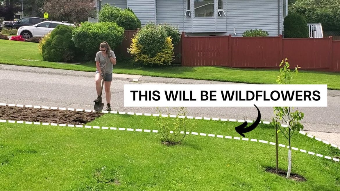 We're planting a mini MEADOW in our suburban front yard (PART 1) We're planting a mini MEADOW in our suburban front yard (PART 1)