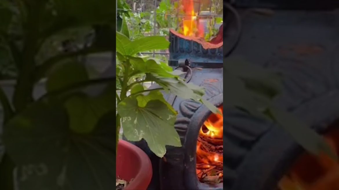 Making Charcoal & Ash #Shorts