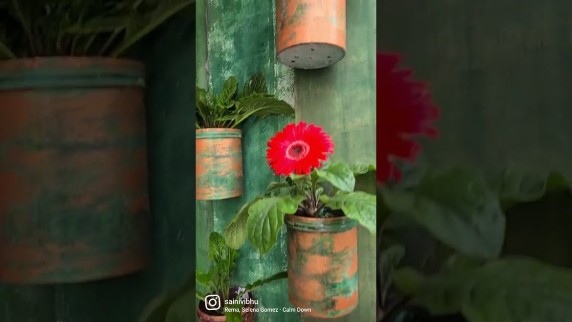 vertical garden with used paint container