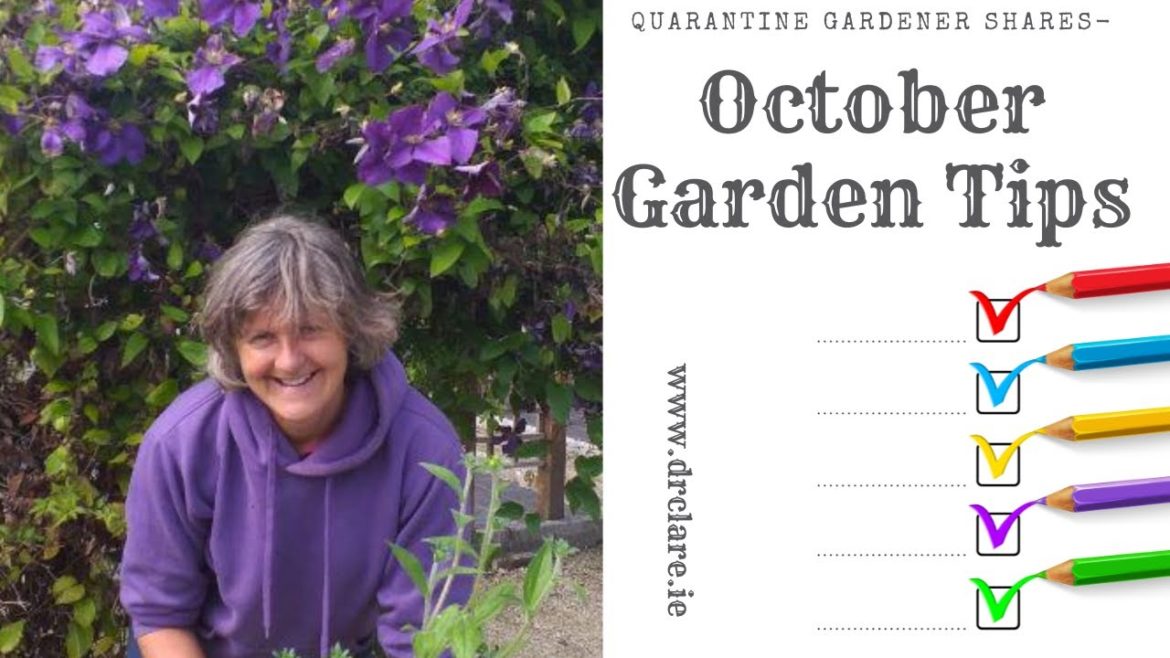 October Tips with the Quarantine Gardener October Tips with the Quarantine Gardener
