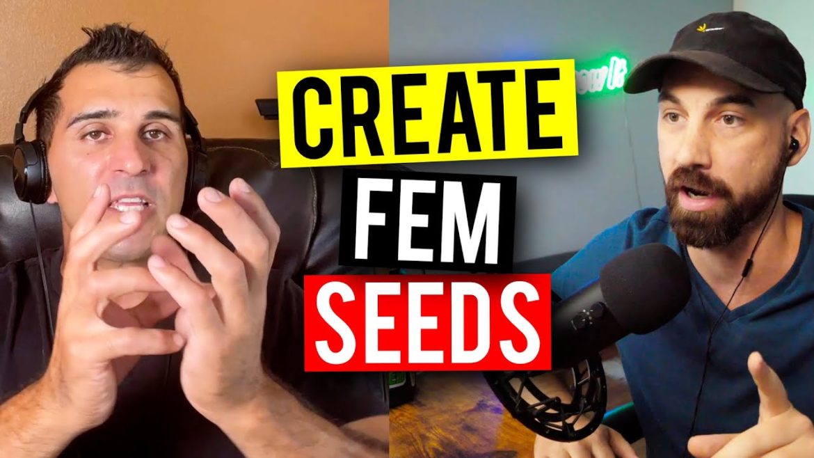Plant Breeding: How To Create Feminized Seeds! (Garden Talk #91)