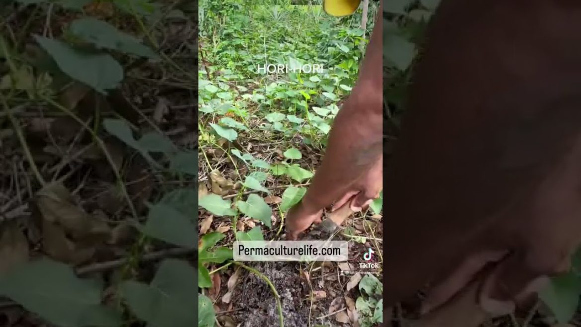 Hori-Hori my new favorite garden tool