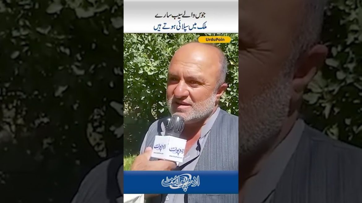 Balochistan Ka Khubsurat Apples Garden - Jahan Se Juice Wale Apples Sari Country Me Supply Hote Hai