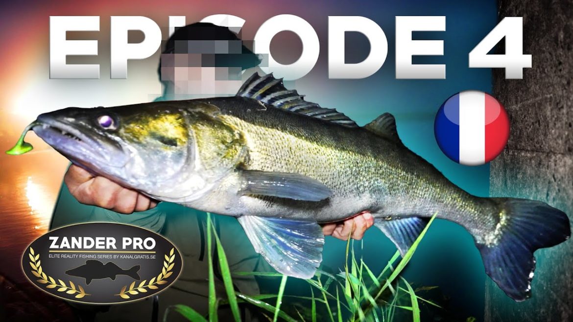 ZANDER PRO 2 – Épisode 4 (version française) ZANDER PRO 2 - Épisode 4 (version française)