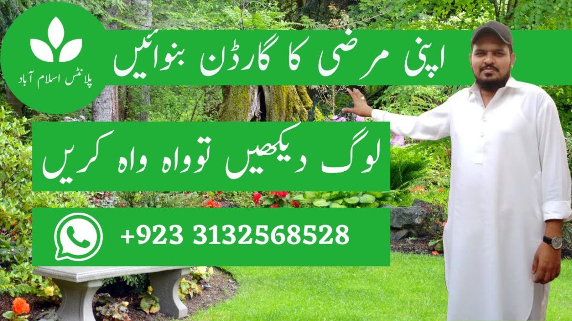 Landscaping Services in Islamabad & Rawalpindi | Garden Design Expert Islamabad & Rawalpindi Landscaping Services in Islamabad & Rawalpindi | Garden Design Expert Islamabad & Rawalpindi
