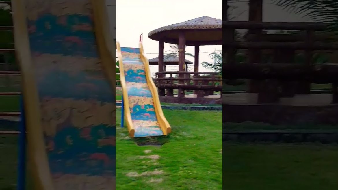 garden overview in hindi | gardening ideas for outdoor | #shorts #shortsvideo#youtubeshorts garden overview in hindi | gardening ideas for outdoor | #shorts #shortsvideo#youtubeshorts