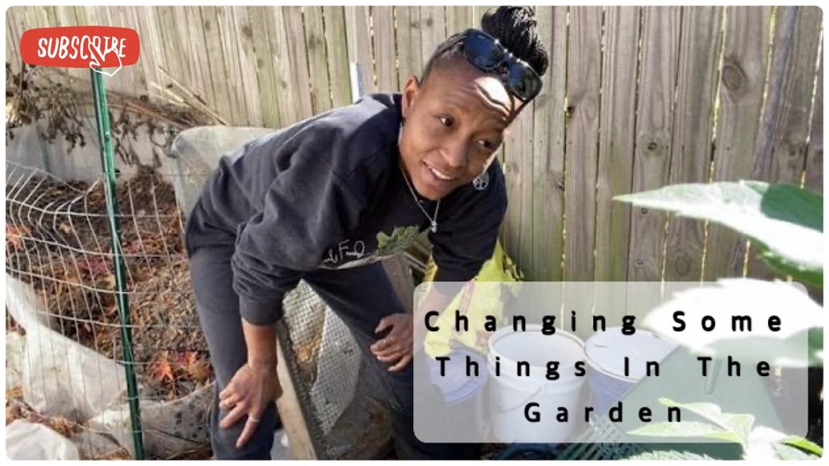 Urban Homestead Living | Comfrey Fertilizer | Changes and Seed Saving