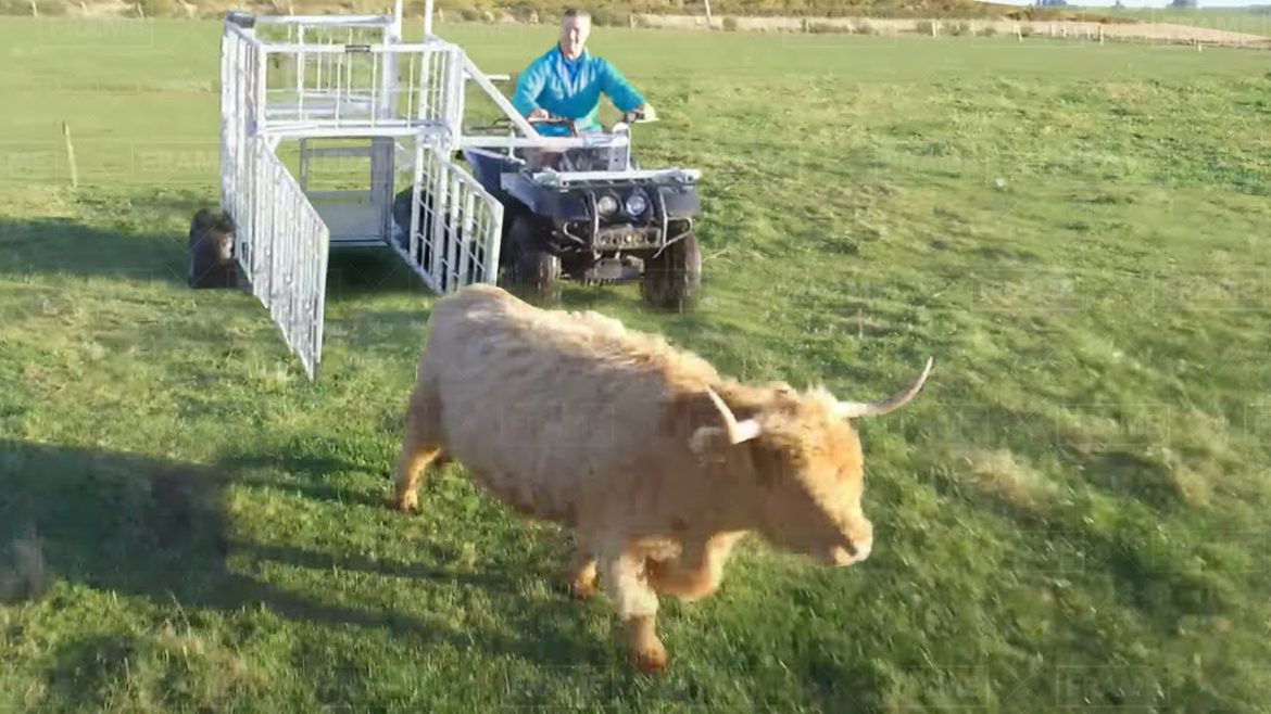 Smart Farmer Inventions That Are on Another Level