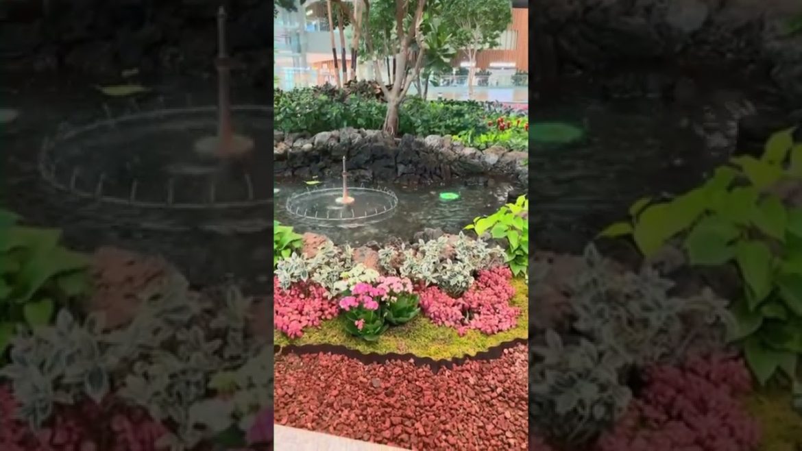Indoor Garden at Incheon Airport South Korea | Summer Trip to Philippines | #Shorts Indoor Garden at Incheon Airport South Korea | Summer Trip to Philippines | #Shorts