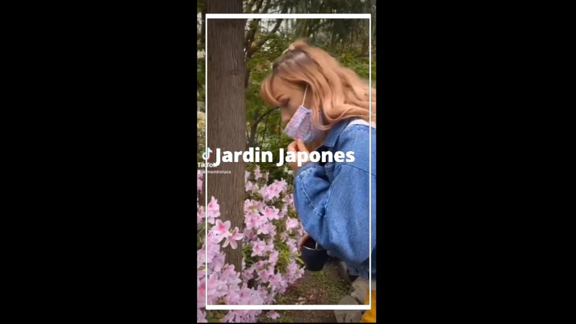 We visited a Japanese Garden in Montevideo Uruguay! #shorts We visited a Japanese Garden in Montevideo Uruguay! #shorts