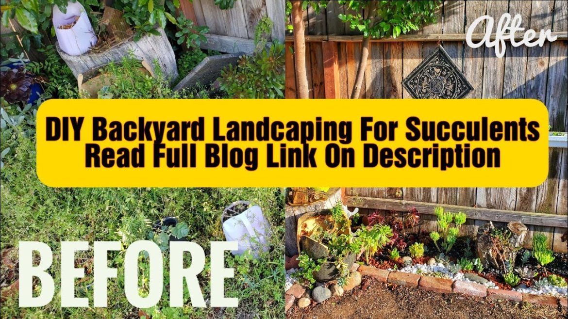 DIY Backyard Landscaping Quick And Easy/ Succulents