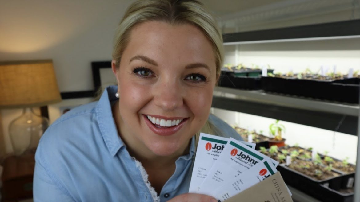 Gardening for Beginners: Seed Starting 101!  How to Grow Your Garden on a Budget!